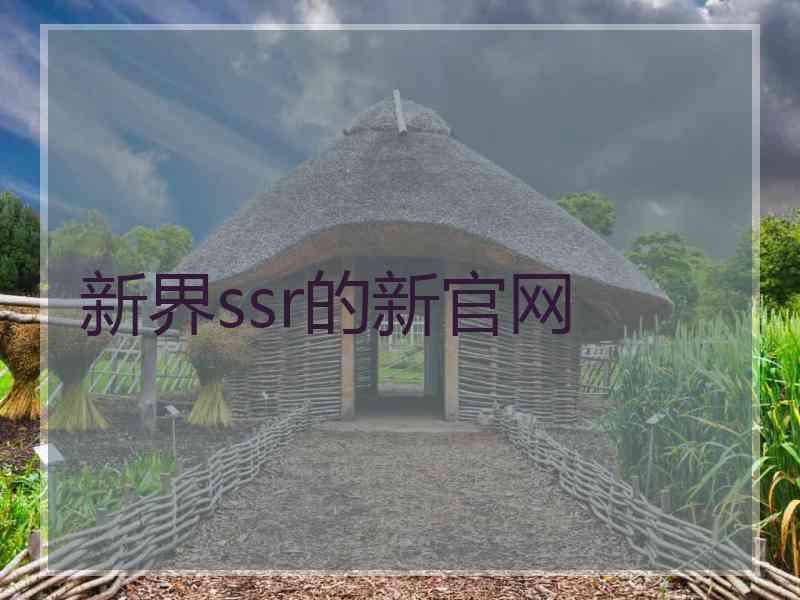 新界ssr的新官网