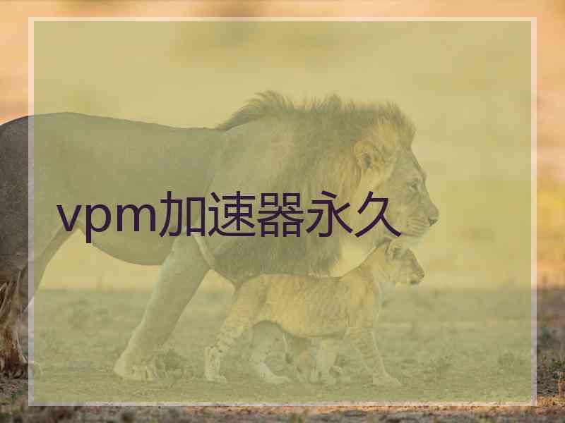 vpm加速器永久