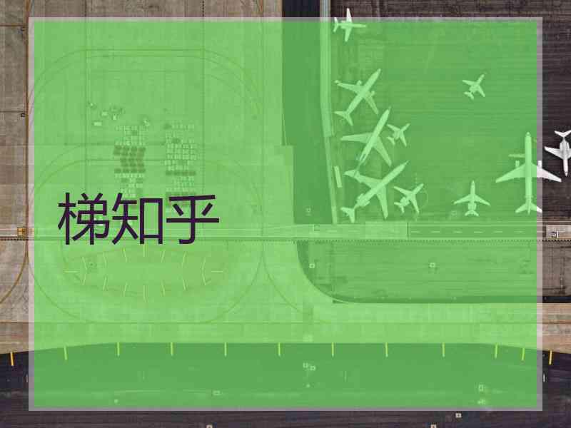 梯知乎