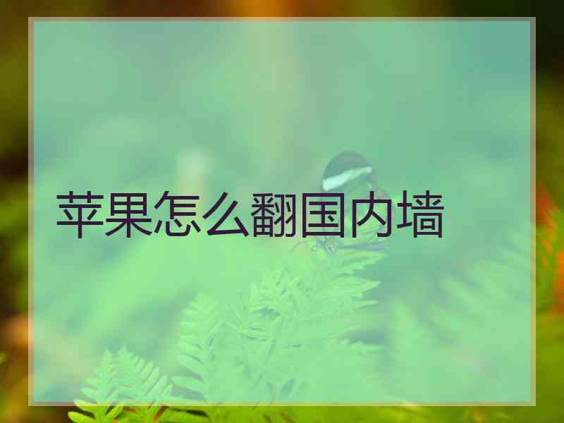 苹果怎么翻国内墙