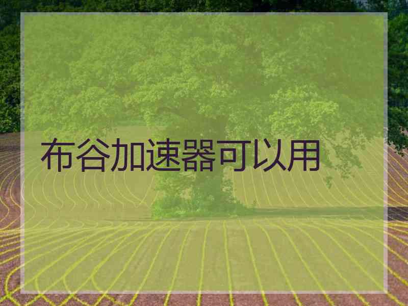 布谷加速器可以用