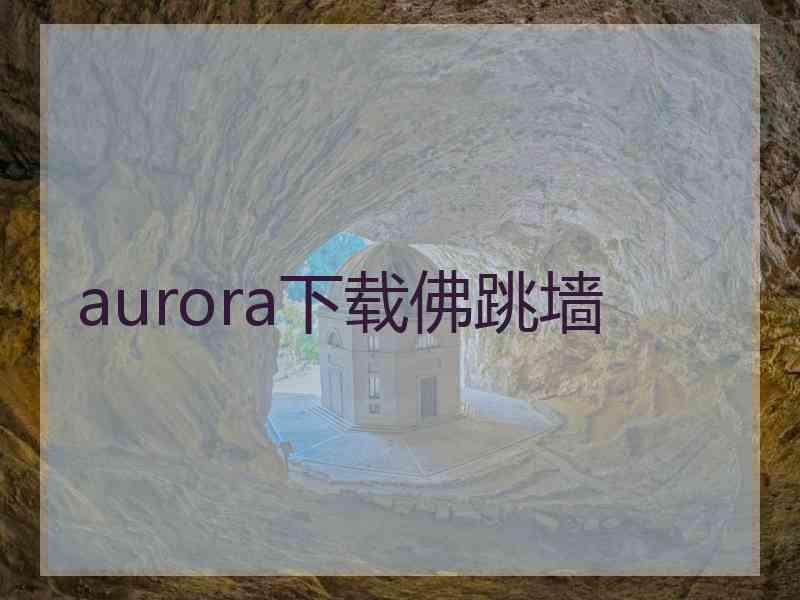 aurora下载佛跳墙