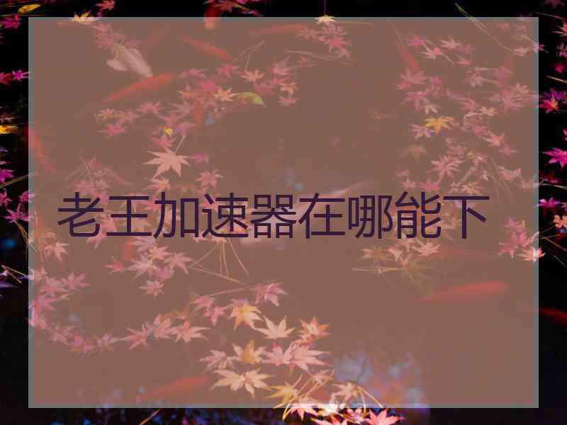 老王加速器在哪能下