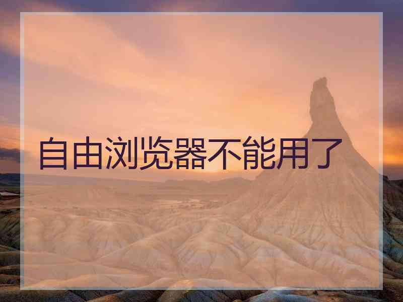 自由浏览器不能用了