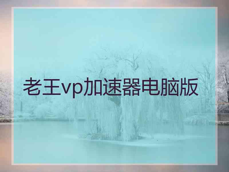 老王vp加速器电脑版