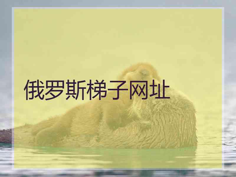 俄罗斯梯子网址