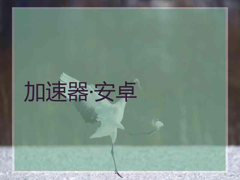 加速器·安卓