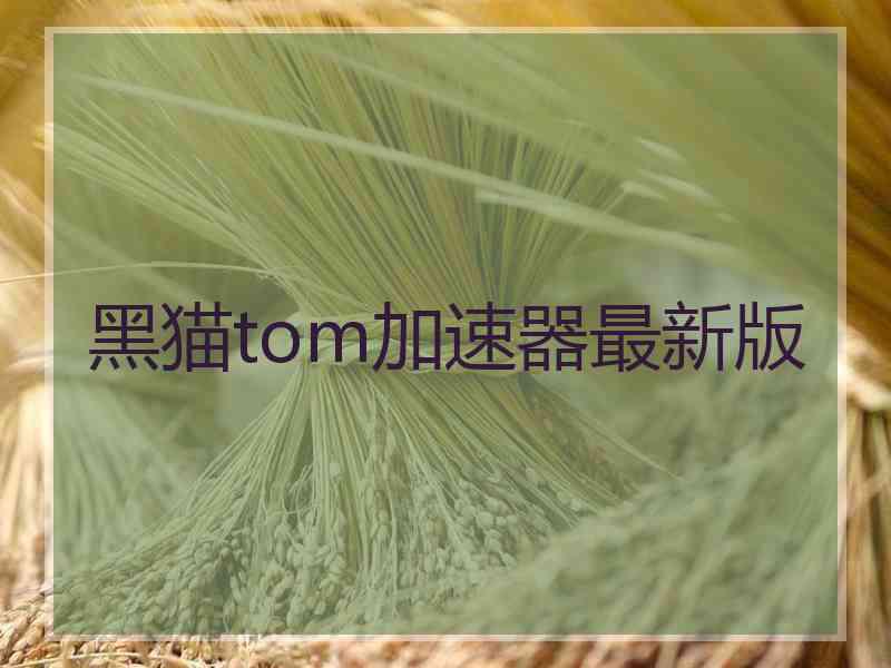 黑猫tom加速器最新版