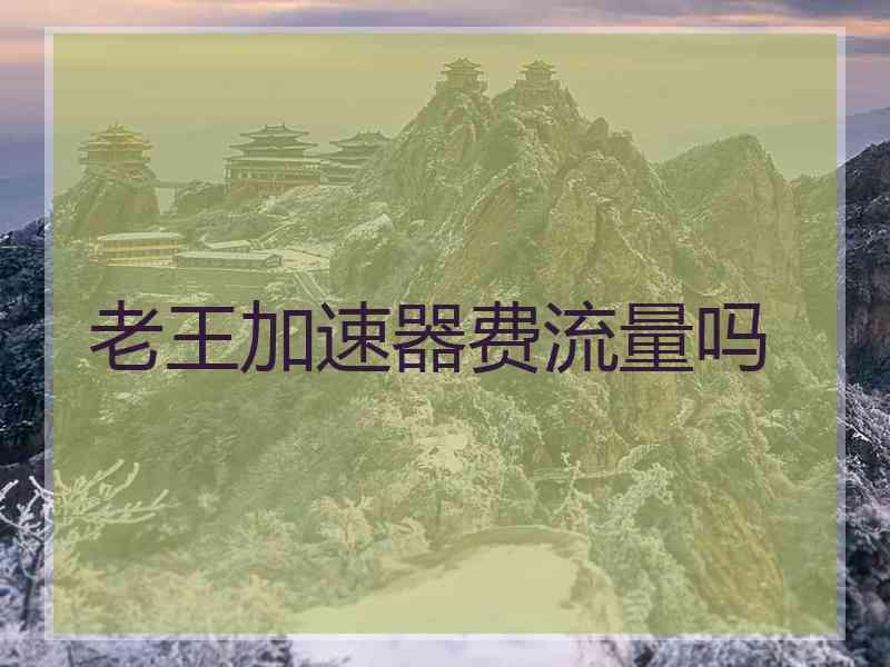 老王加速器费流量吗