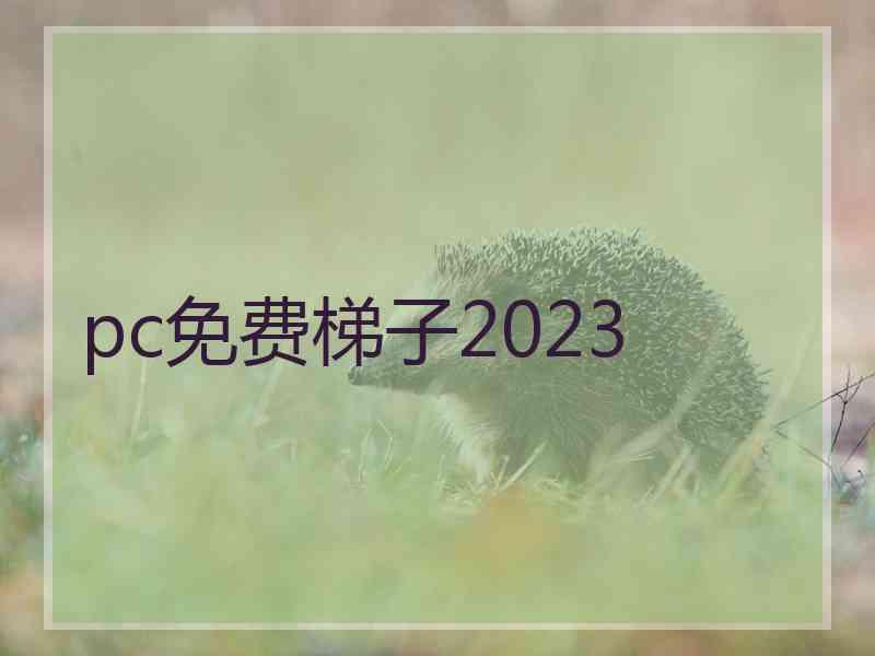 pc免费梯子2023