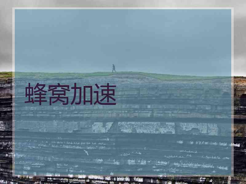 蜂窝加速