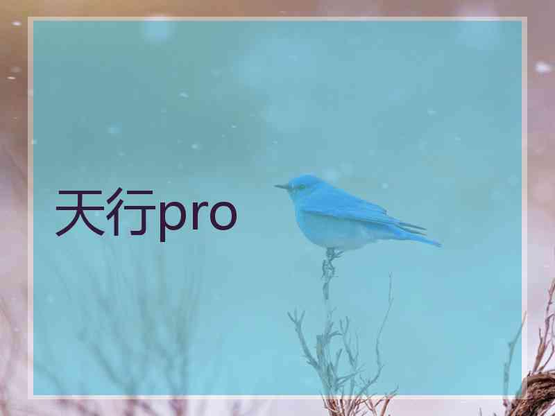 天行pro