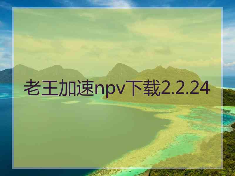 老王加速npv下载2.2.24