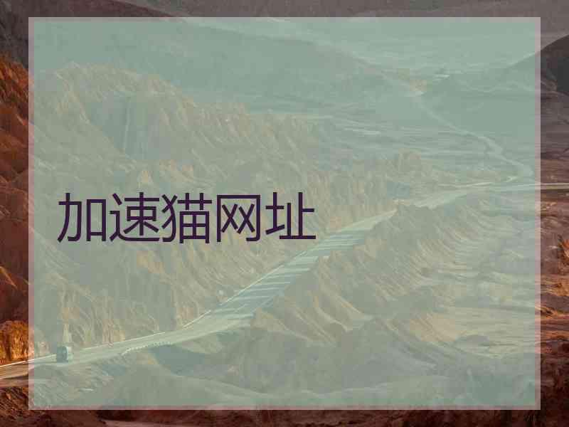 加速猫网址