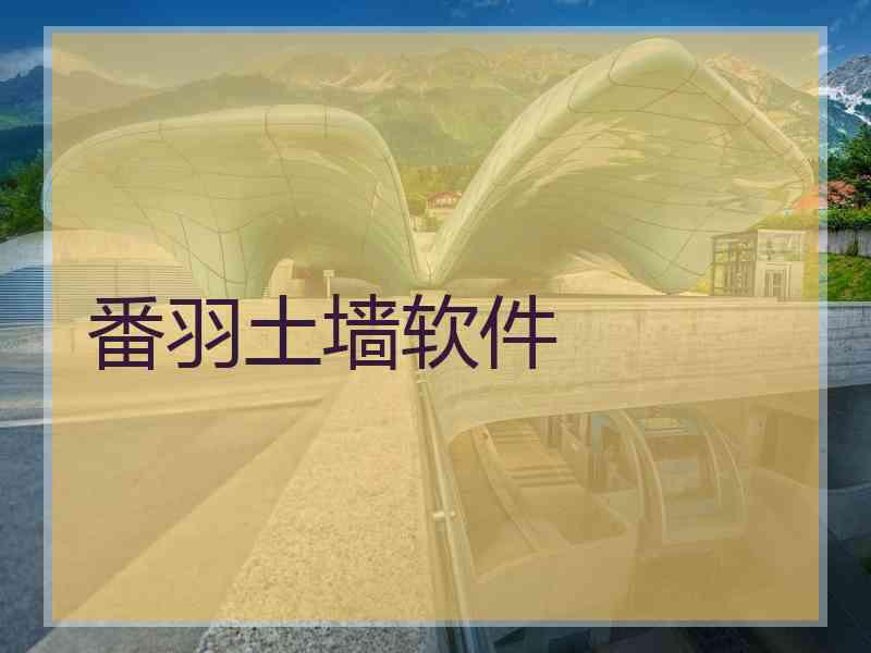 番羽土墙软件
