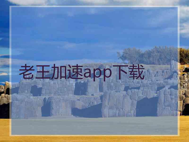 老王加速app下载