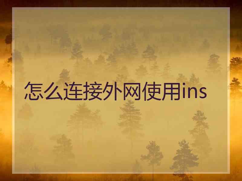 怎么连接外网使用ins