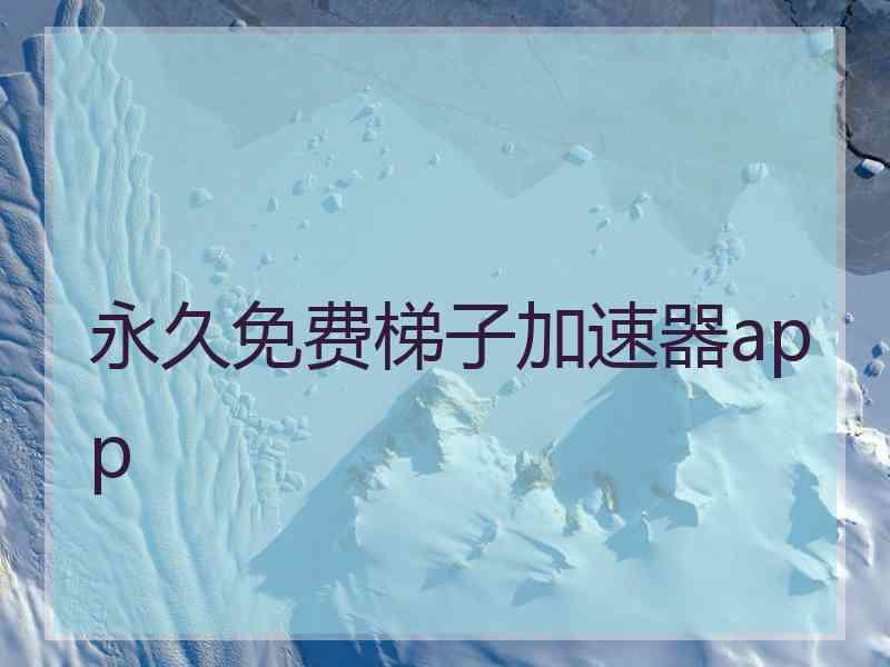 永久免费梯子加速器app