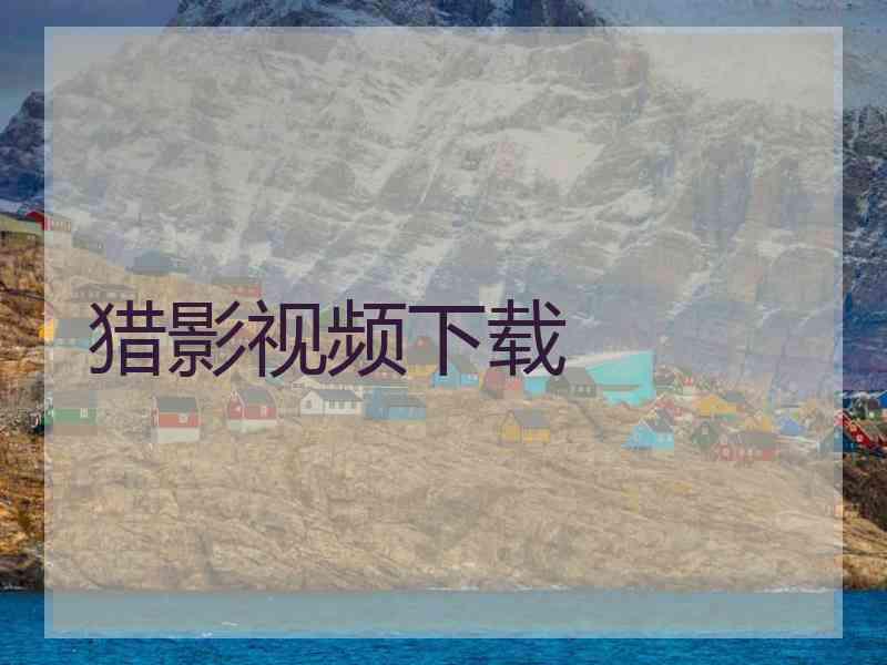 猎影视频下载