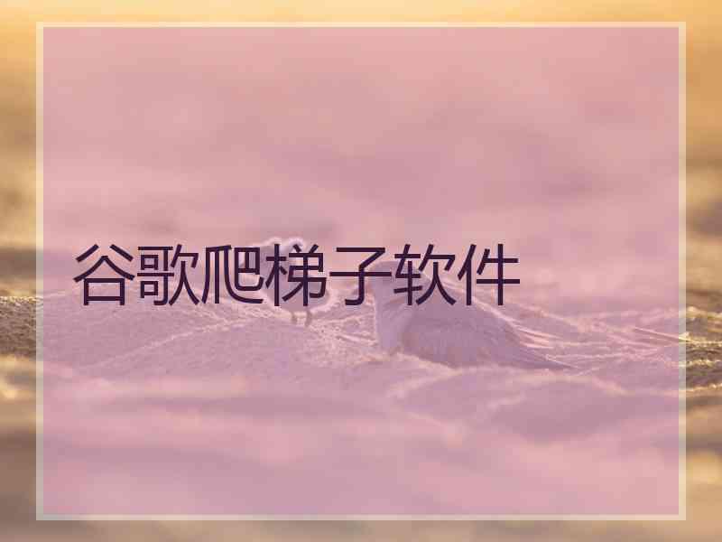谷歌爬梯子软件