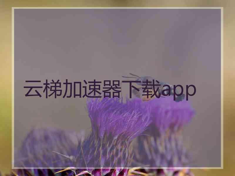 云梯加速器下载app