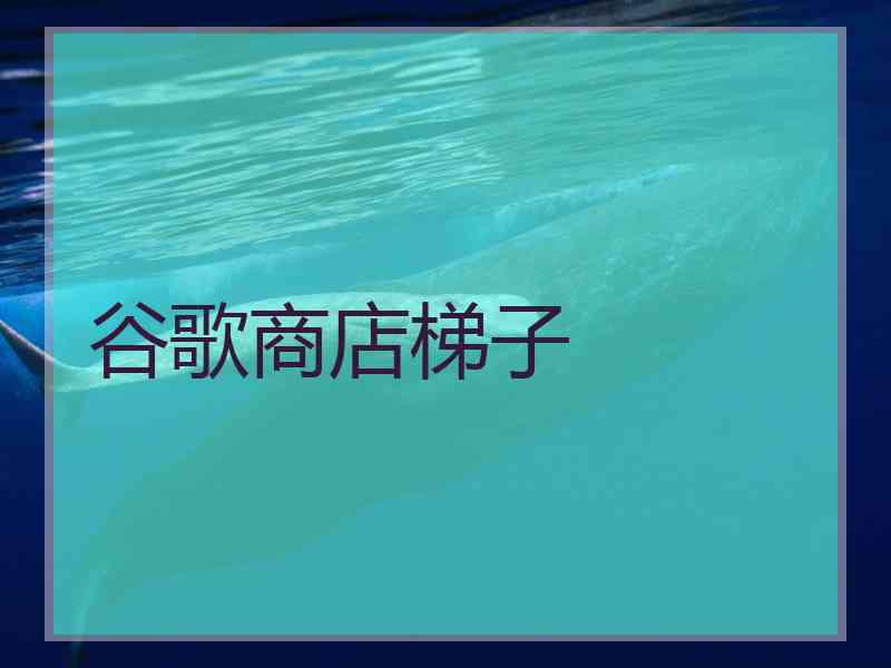 谷歌商店梯子