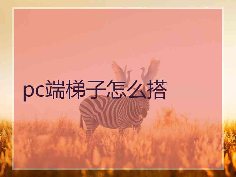pc端梯子怎么搭