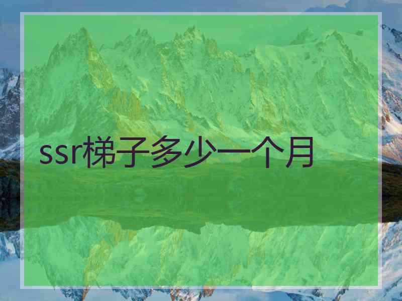 ssr梯子多少一个月
