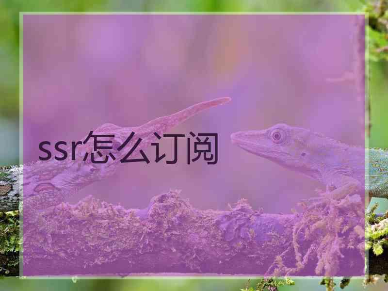 ssr怎么订阅