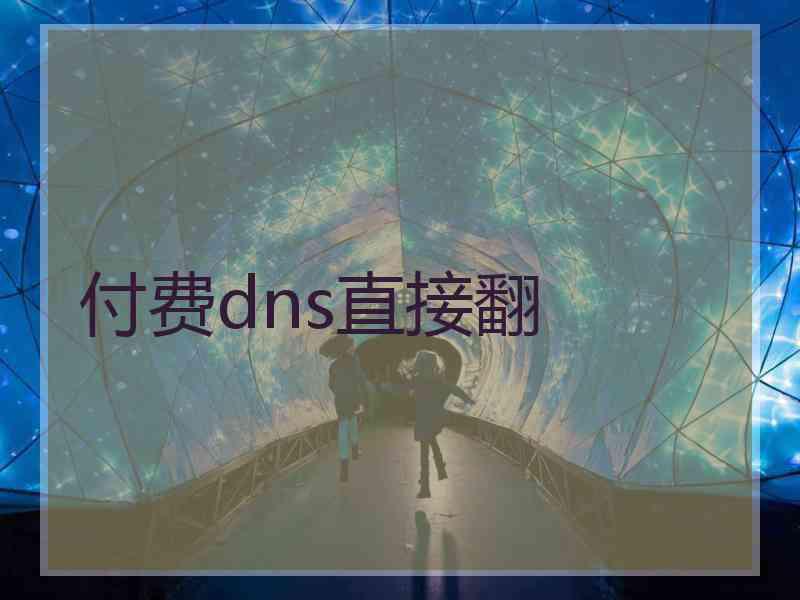 付费dns直接翻