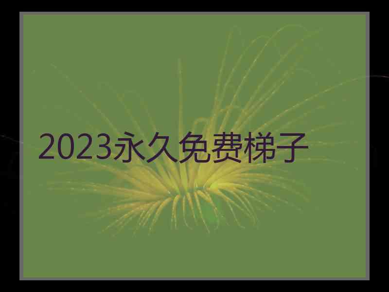 2023永久免费梯子