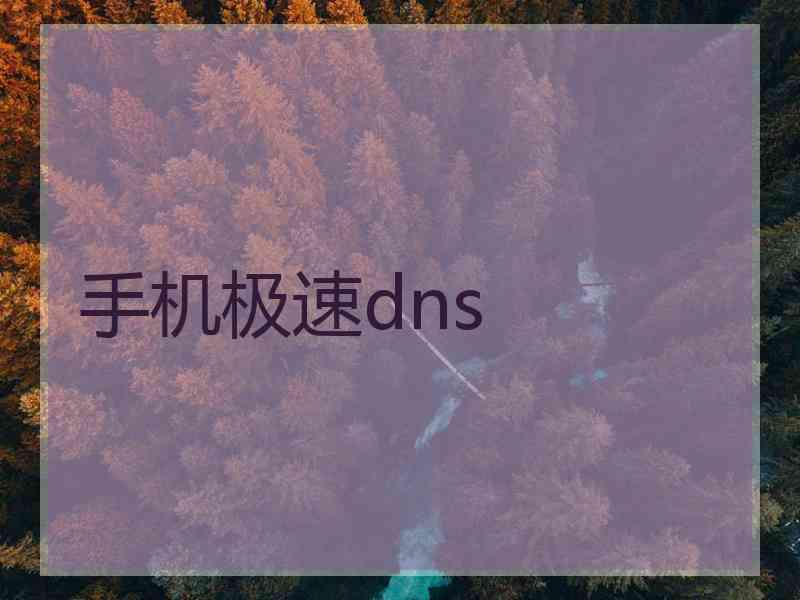 手机极速dns