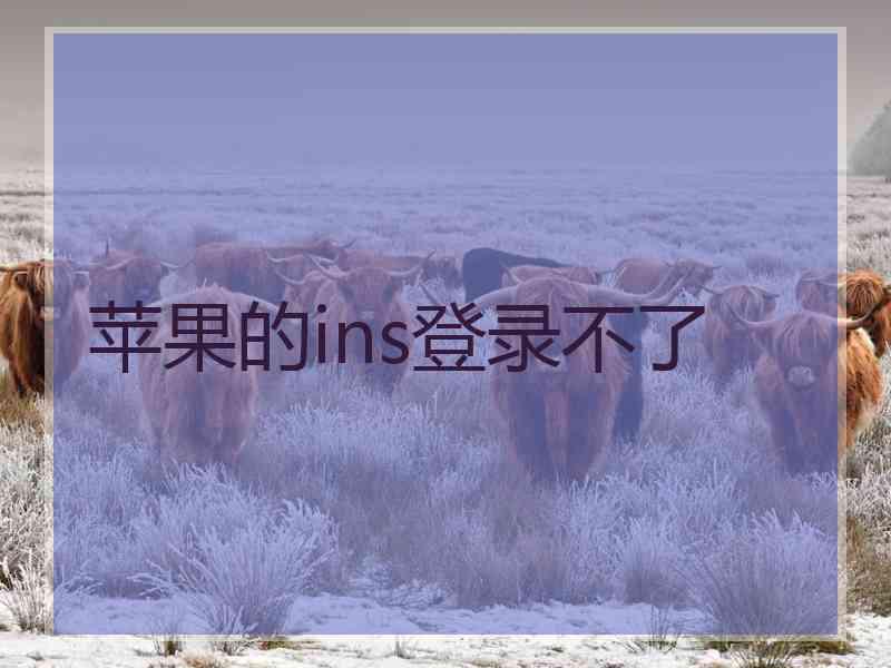 苹果的ins登录不了