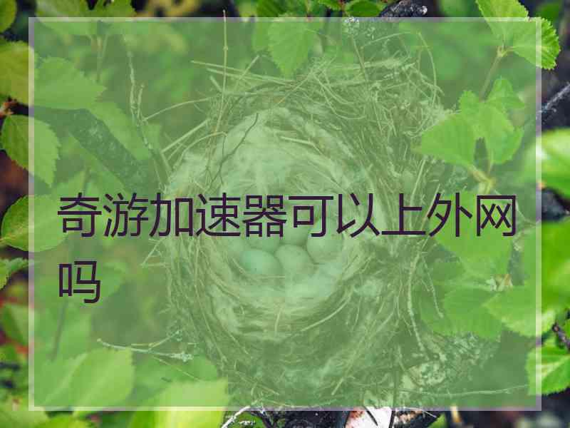 奇游加速器可以上外网吗