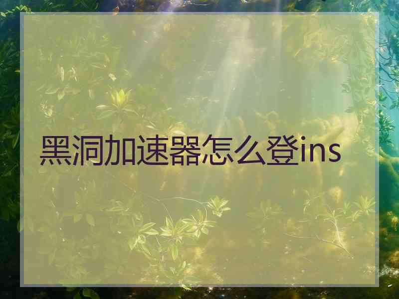 黑洞加速器怎么登ins