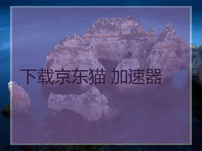 下载京东猫 加速器
