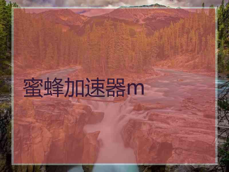 蜜蜂加速器m