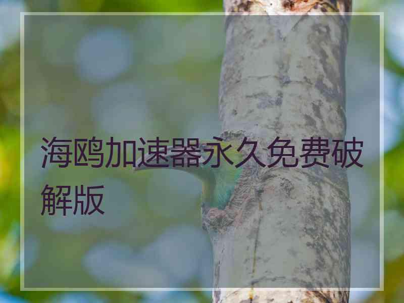 海鸥加速器永久免费破解版