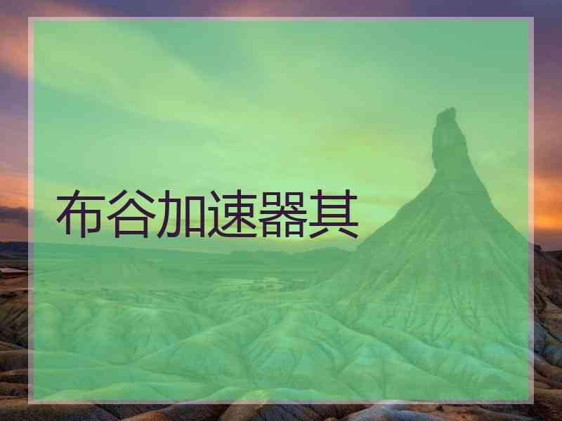 布谷加速器其