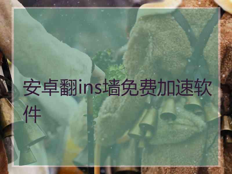 安卓翻ins墙免费加速软件