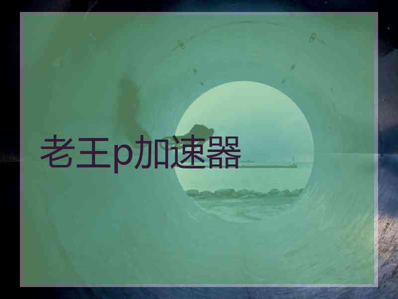 老王p加速器