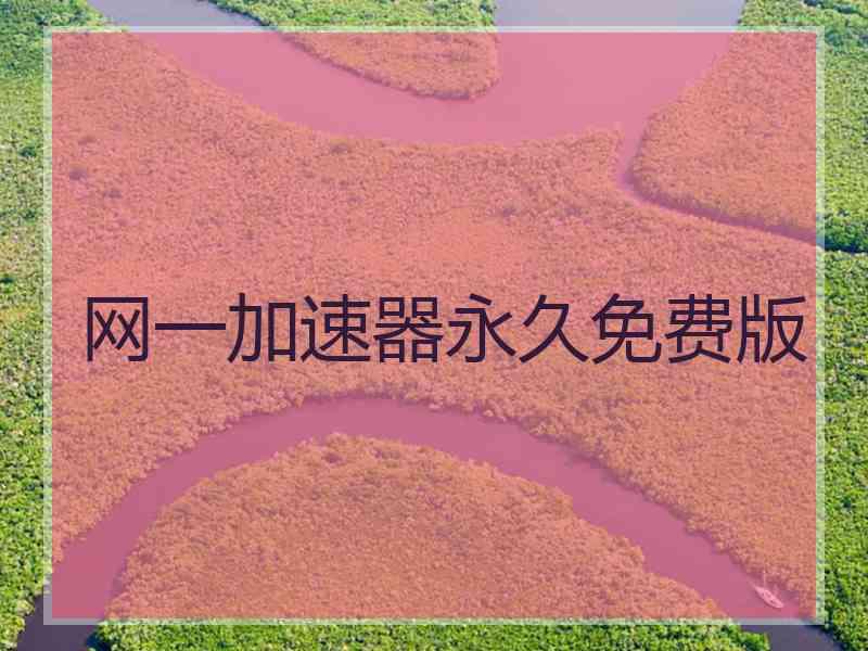 网一加速器永久免费版