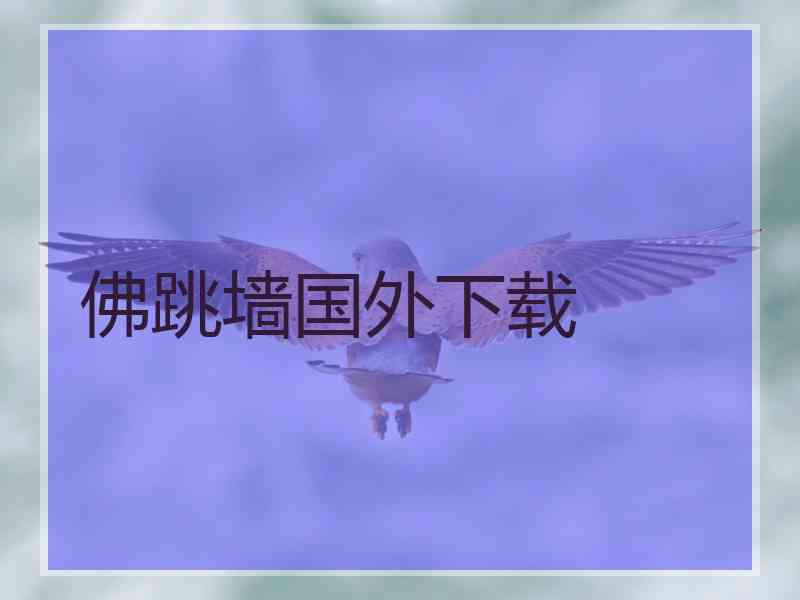 佛跳墙国外下载