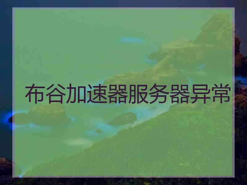 布谷加速器服务器异常