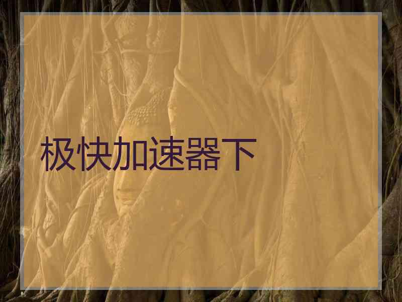 极快加速器下
