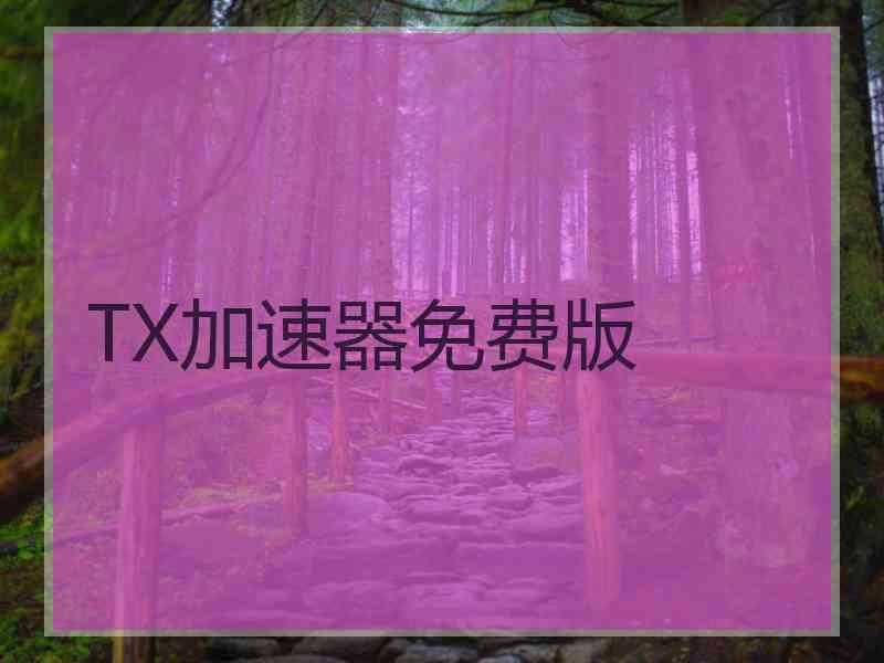 TX加速器免费版