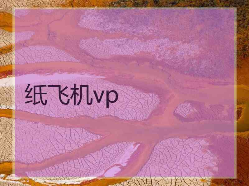 纸飞机vp