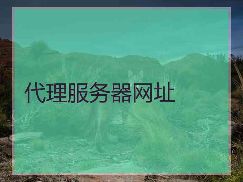 代理服务器网址