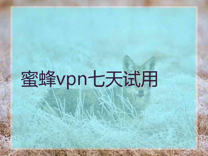 蜜蜂vpn七天试用