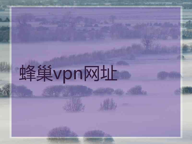 蜂巢vpn网址